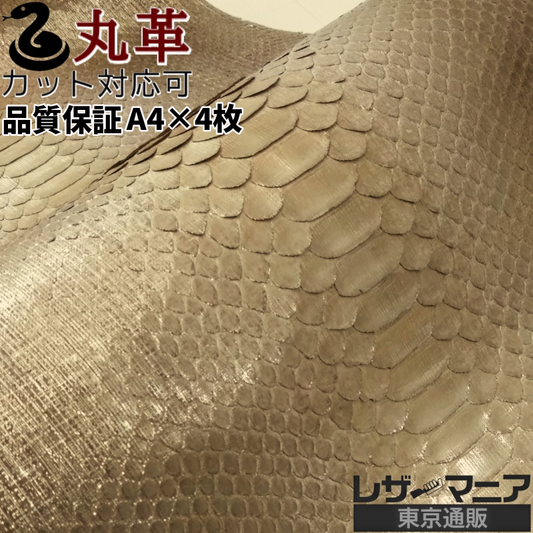 パイソン 素材
