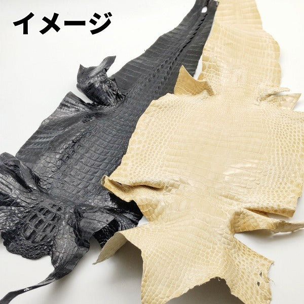 【福袋】ワニ丸革2枚/送料無料/fb24w