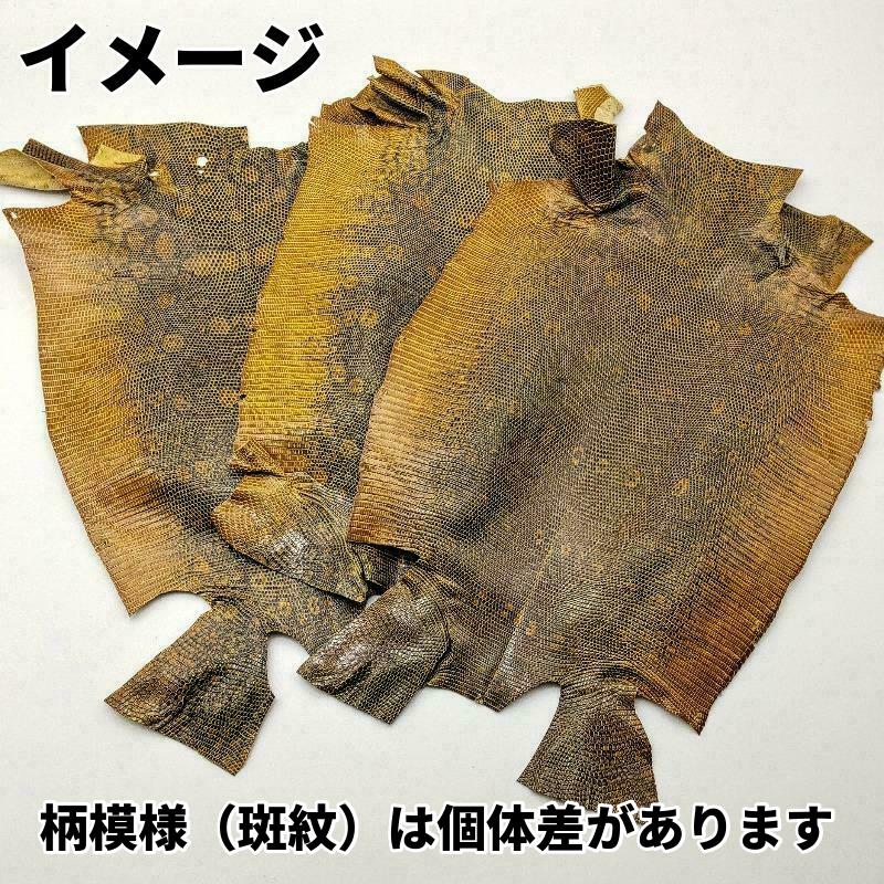 トカゲ革リングマーク【最大幅約19cm】金茶×黒/つや有/Aランク/腹割/tkg128