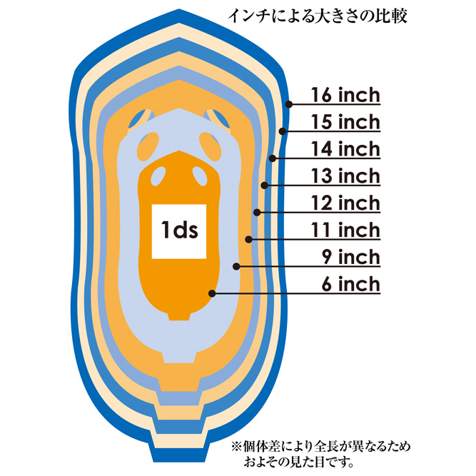 スティングレイ 大きさ
