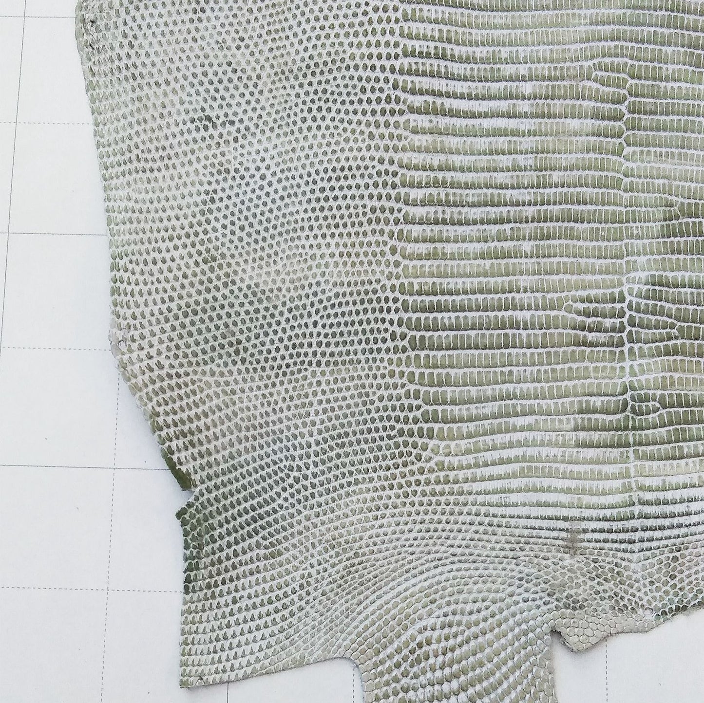 リザード革 レザークラフト