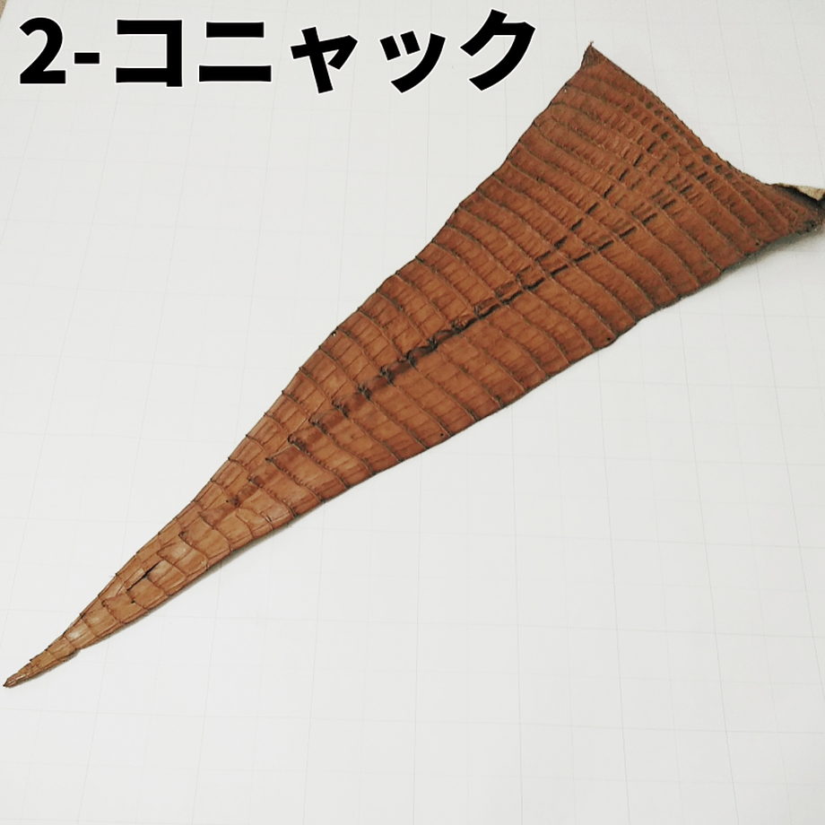 鰐革 コニャック