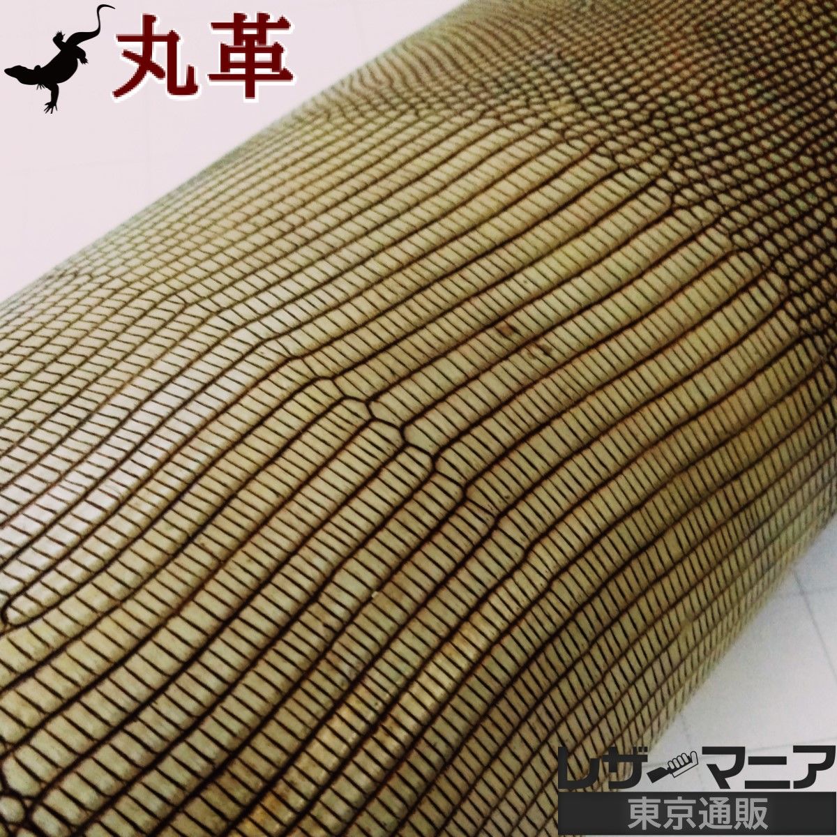リザード革 販売