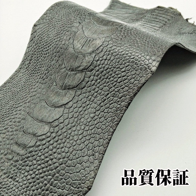 駝鳥足 素材