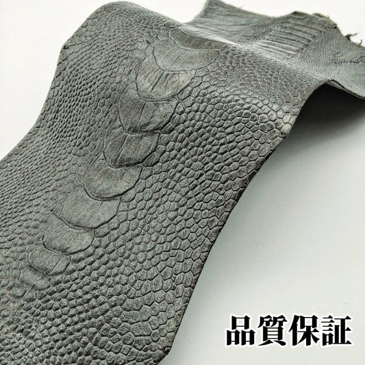駝鳥足 素材