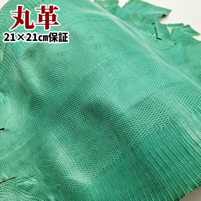 蜥蜴 革素材