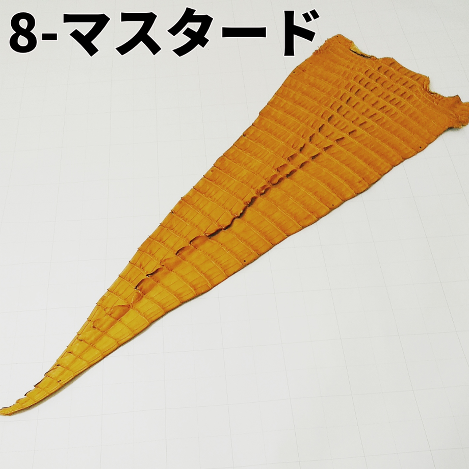 鰐革 マスタード