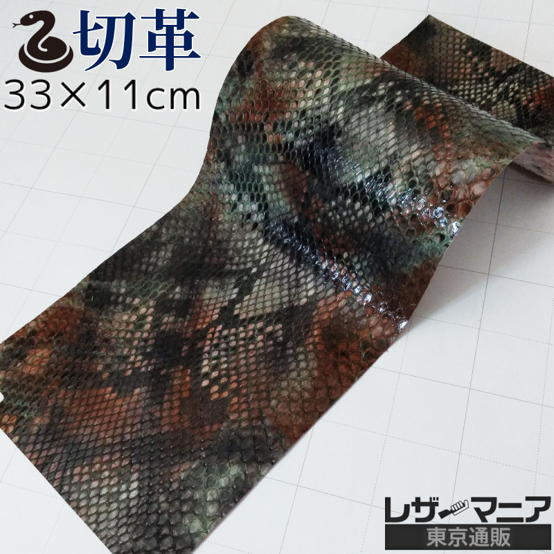 アミメニシキヘビ 販売