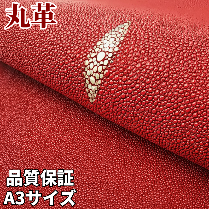 エイ丸革【巨大/品質保証A3】レッド/ノーマル仕上げ/規格幅16 エイ丸革【巨大/品質保証A3】レッド/ノーマル仕上げ/規格幅16