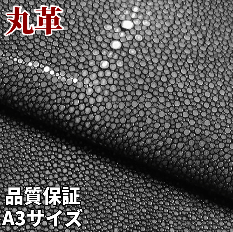 スティングレー 販売