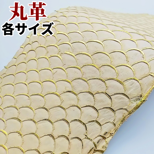 フィッシュ革/ティラピア【品質保証各サイズ】オフホワイト&ゴールド/f011