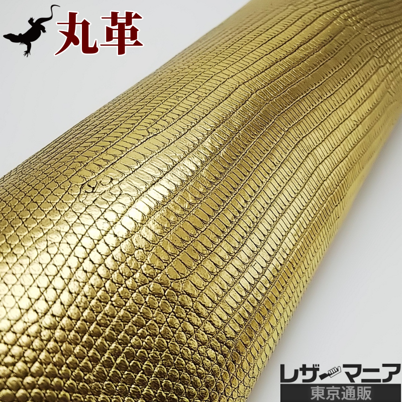 トカゲ革【最大幅30cm前後】ゴールド箔/ツヤ強/背割/t801 – レザー 