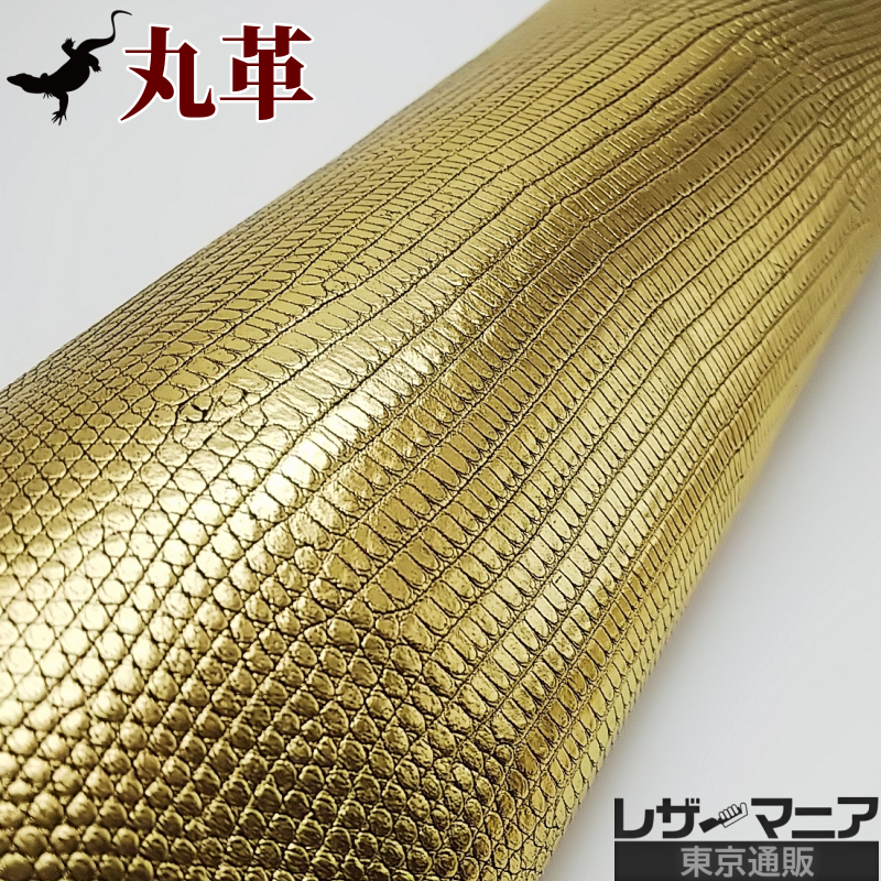 トカゲ革【最大幅28cm前後】ゴールド箔/ツヤ強/背割/t801 – レザー トカゲ革【最大幅28cm前後】ゴールド箔/ツヤ強/背割/t801 – レザー