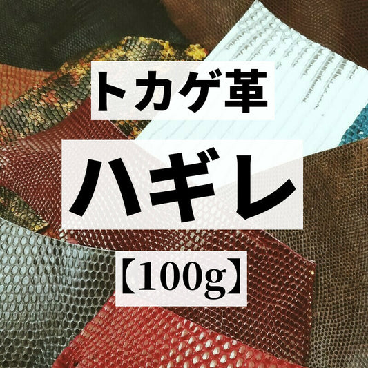 トカゲ革 いろいろ