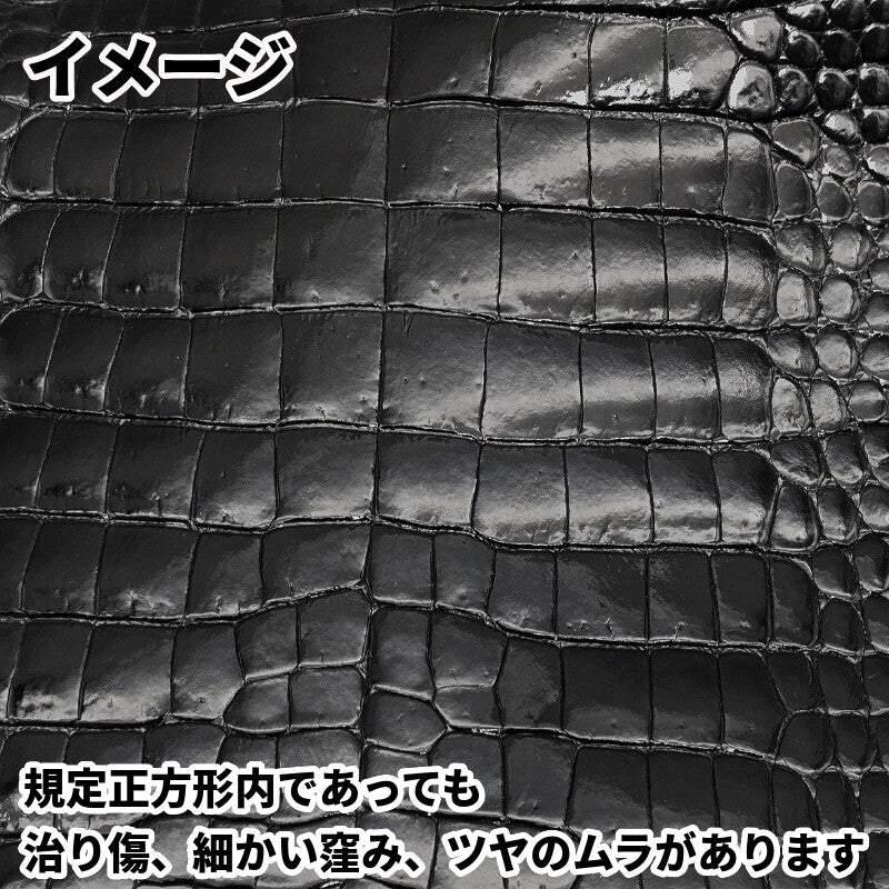 ワニ丸革/クロコダイル【一匹】ブラック/ツヤ強/wj3