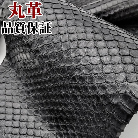 蛇革 素材