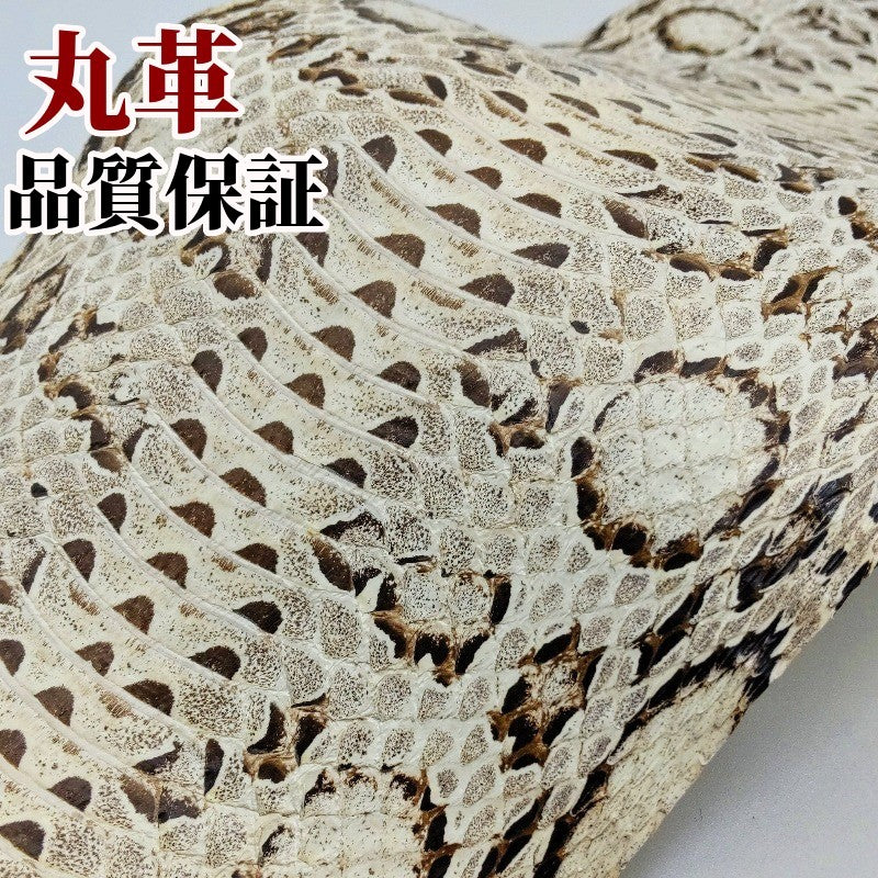 蛇革 素材