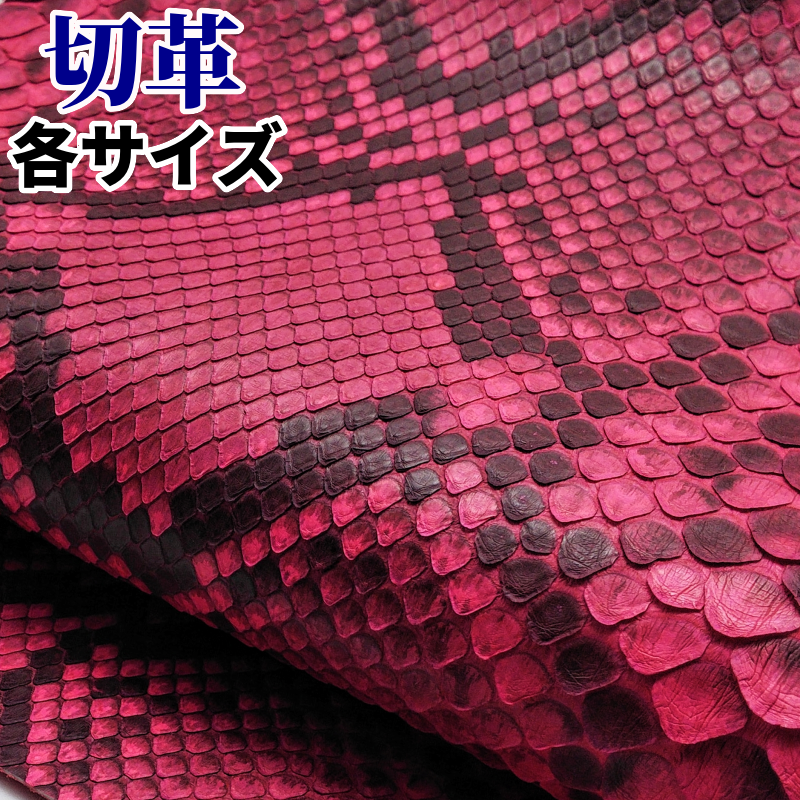 蛇 素材