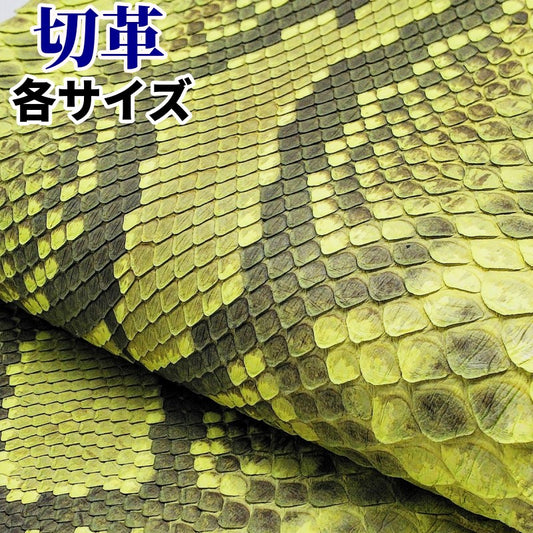 蛇革 素材