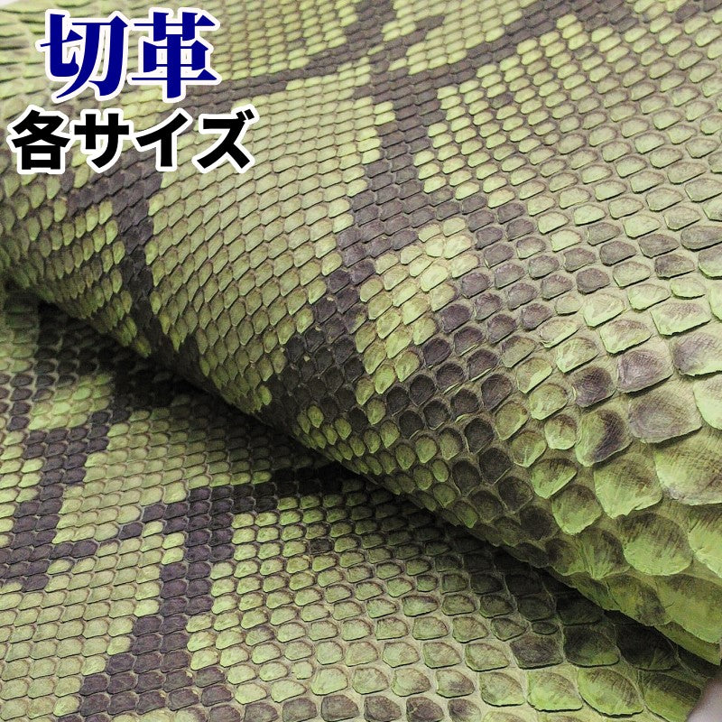 蛇革 素材