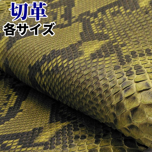 蛇 素材