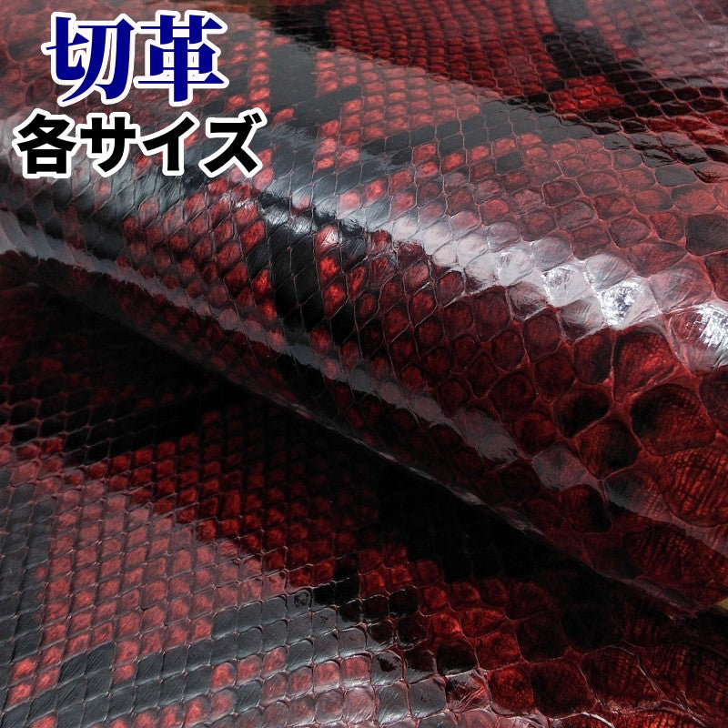 蛇革 素材