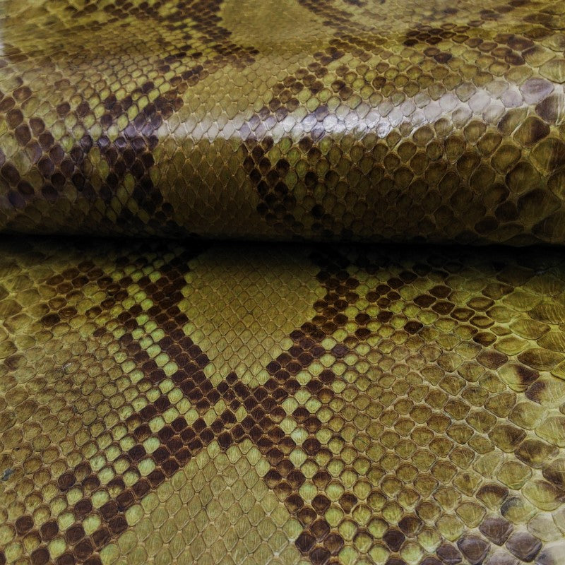 蛇革 カラフル