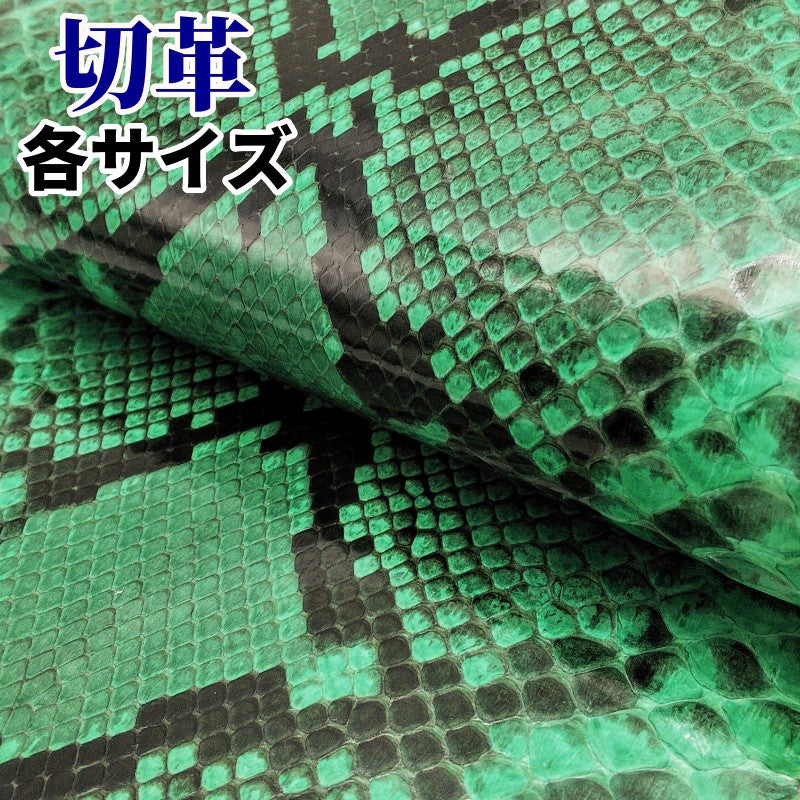 蛇革 素材