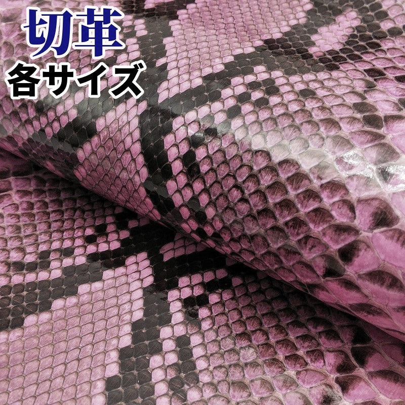 パイソン革 素材