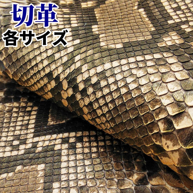蛇革 素材