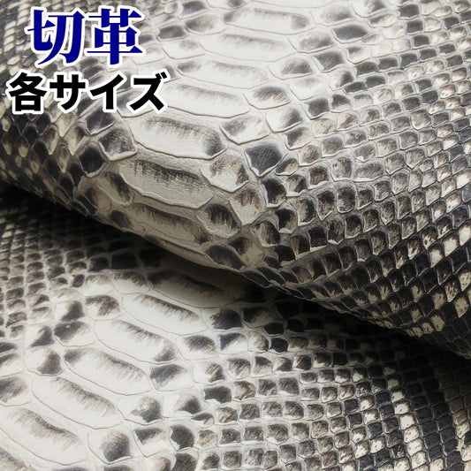 蛇革 素材