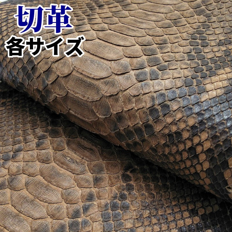 蛇革 素材