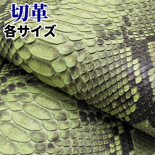 蛇革 素材