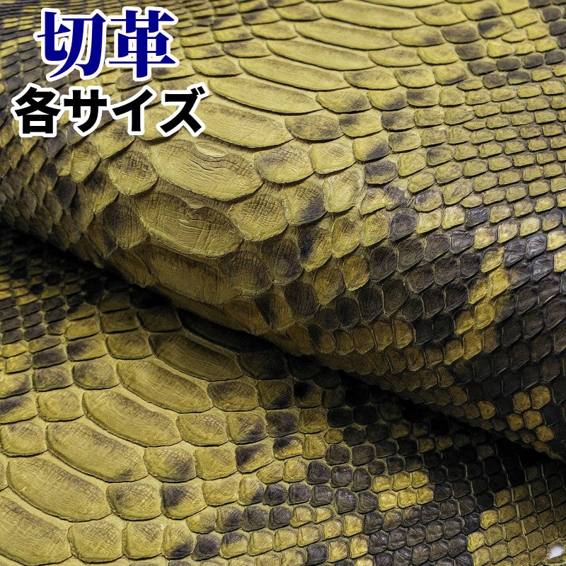 蛇革 素材