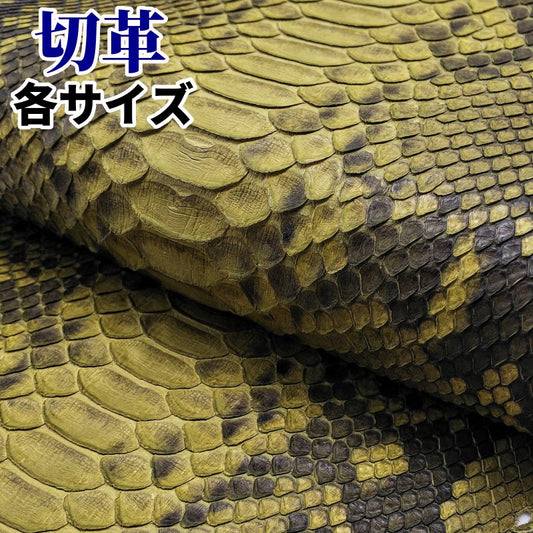 蛇革 素材
