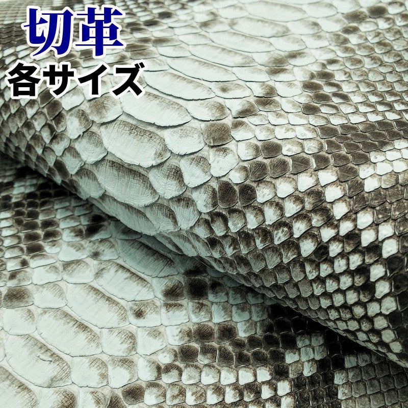 蛇革 素材