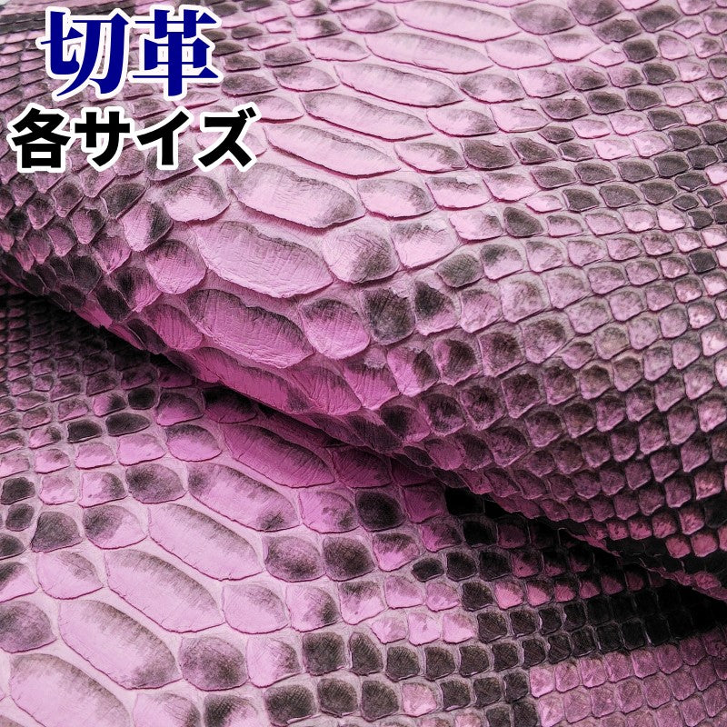 蛇革 素材