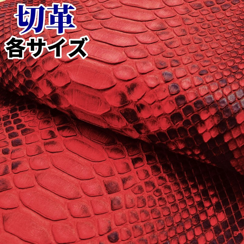 蛇革 素材