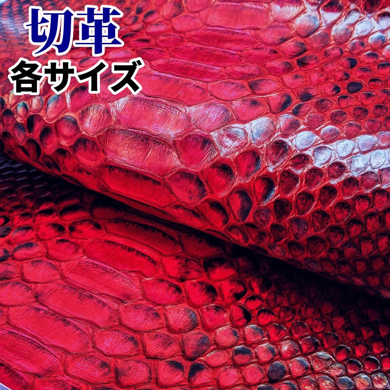 ヘビ革/赤（red・snake・あか・紅色）の革素材を販売 – レザーマニア ...