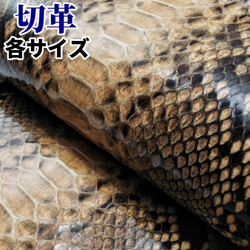 蛇革 素材