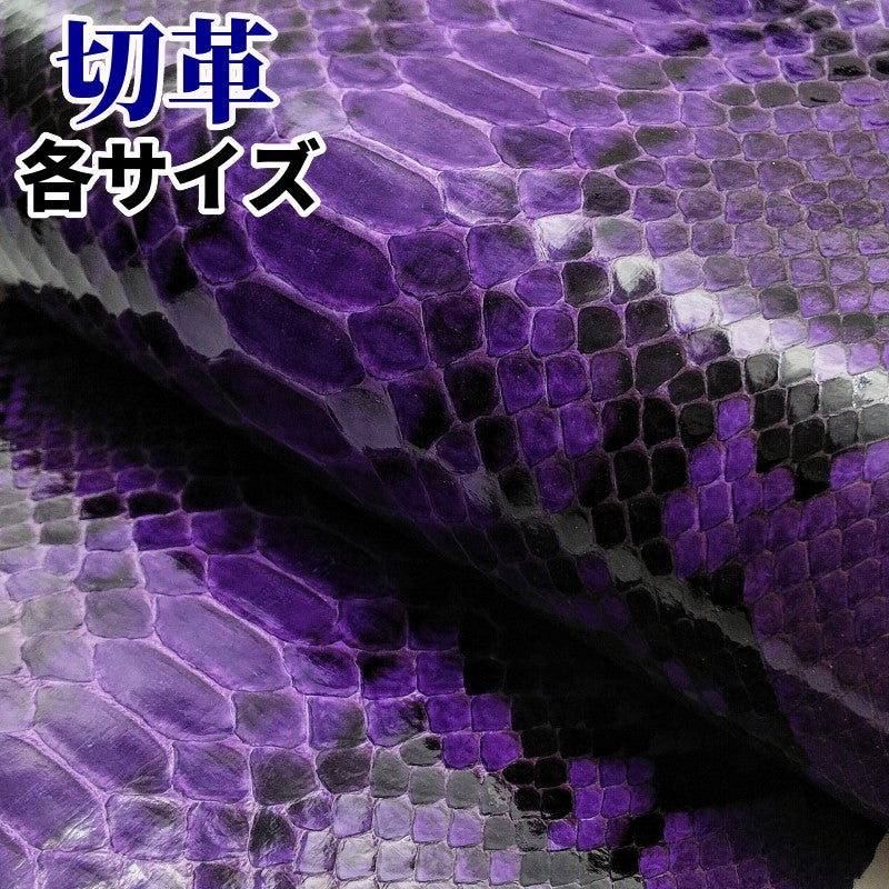 蛇革 素材