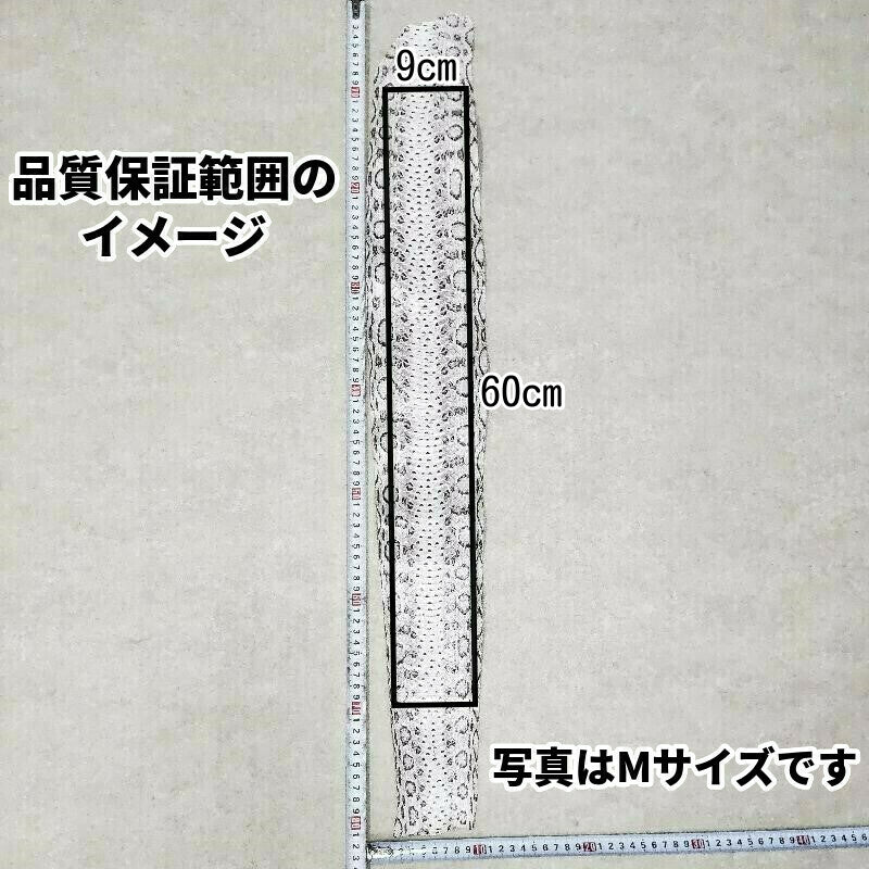 へび 長さ