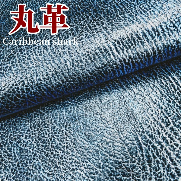 サメ革【丸革】カリビアンシャーク/クリスタルブルー/ツヤ強/smm21