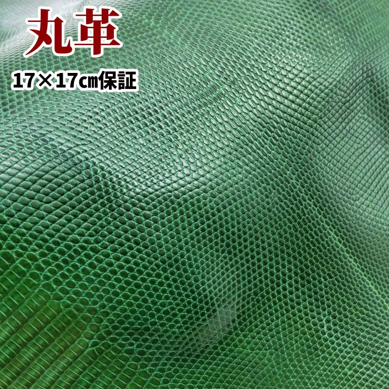 リザード革Lizard・ツヤあり、green/緑色の通信販売 – レザーマニア東京通販