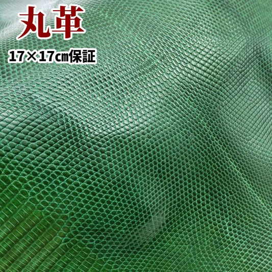 蜥蜴革 素材