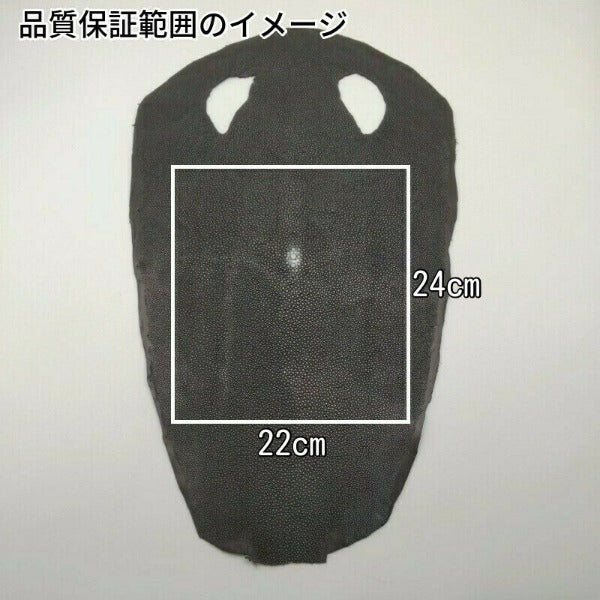 エイ丸革【品質保証各サイズ】ブラック/ポリッシュ/et01