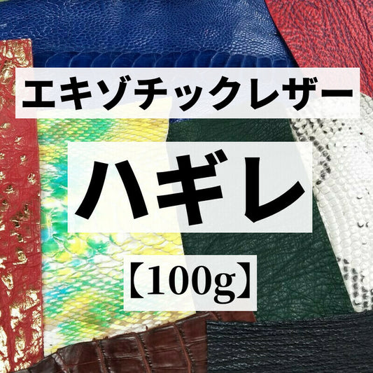 爬虫類革 いろいろ