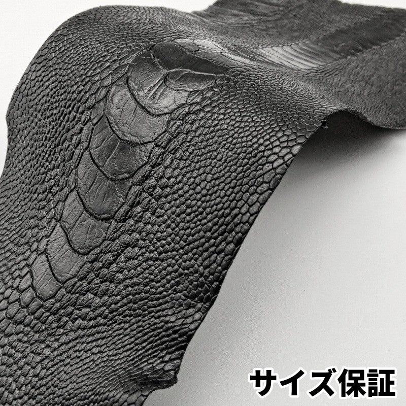 駝鳥　革素材