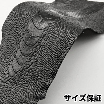 駝鳥　革素材