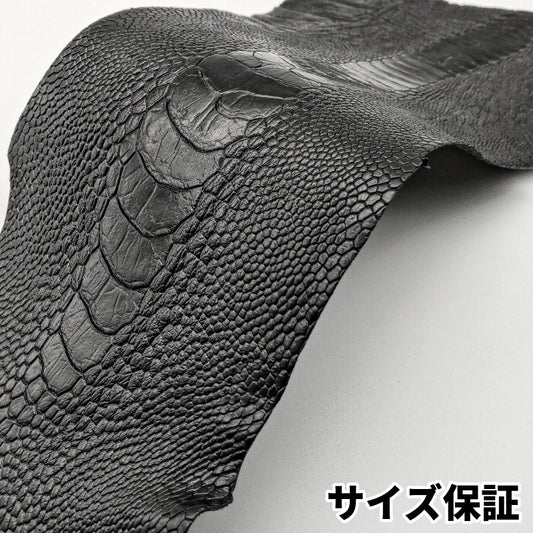 駝鳥　革素材